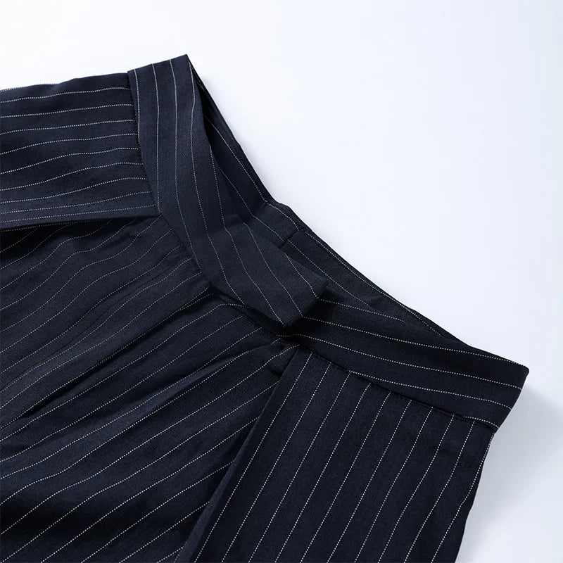 Striped Pleated Wide Leg Pants – Autumn 2025